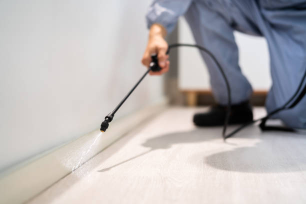Licensed Pest Control service in Princeton, MO - Show Me Pest Control